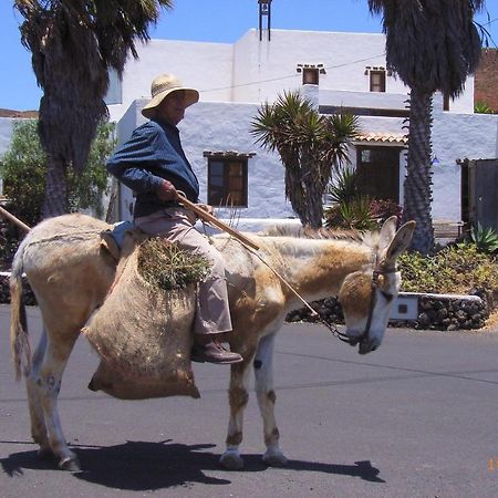 Finca Lanzarosy Guatiza Kültér fotó